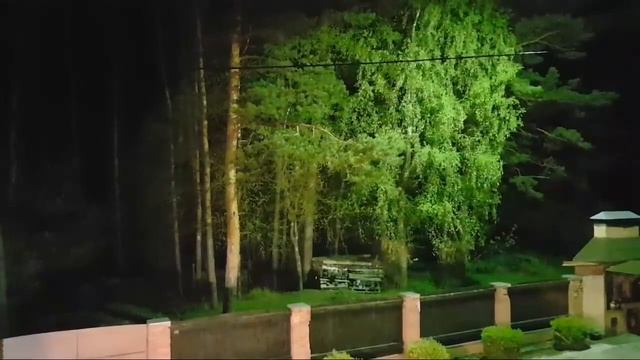 КАКОЕ ТЫ ДЕРЕВО ПО РОЖДЕНИЮ... ИНГА ХОСРОЕВА смотреть онлайн