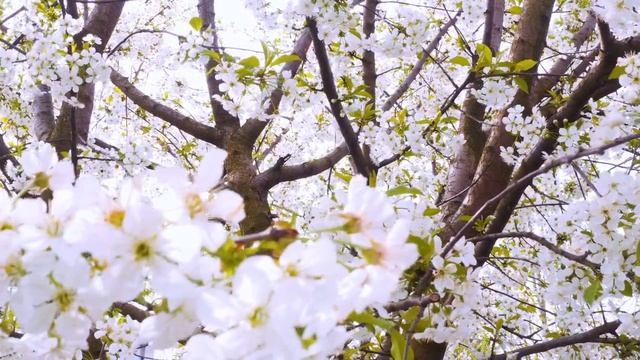 Если в углу кухни есть эта вещь - в доме всегда будут деньги, уют и благополучие семьи. смотреть онлайн