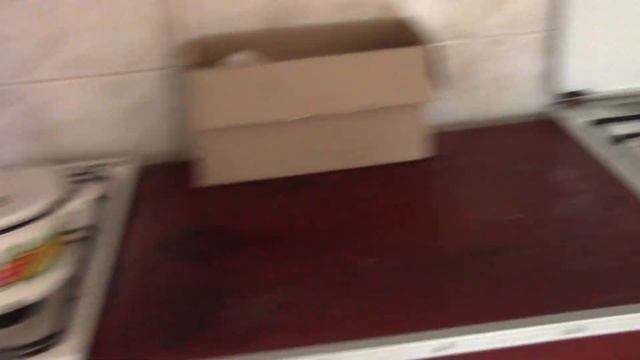 🔴 Отдых на базе "Лагуна" в курортном с. Грибовка Одесская область смотреть онлайн