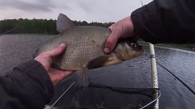 Ловля леща с лодки на поплавочную удочку!!! Рыбалка в июне смотреть онлайн