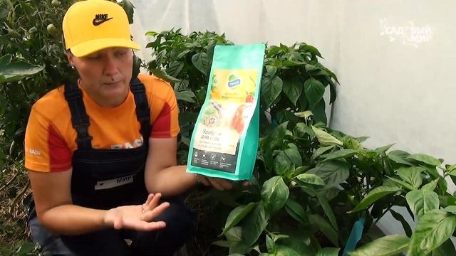 Лучшее органическое удобрение и питание для вашего сада. Большой урожай. Бельгийская серия. смотреть онлайн