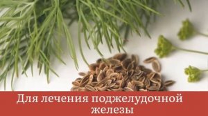 Рецепт укропной вода, которая ВЫЛЕЧИТ ВСЕ!!! Отвары из семян укропа
