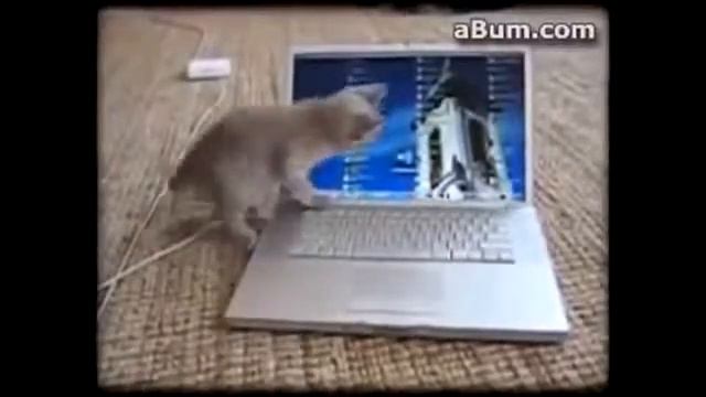 Детки поют и танцуют веселые песенки и танцы!!! смотреть онлайн