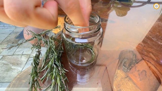 Inacreditável! Restaura A Memória Em 100%! Melhora A Memória E O Cansaço Mental!