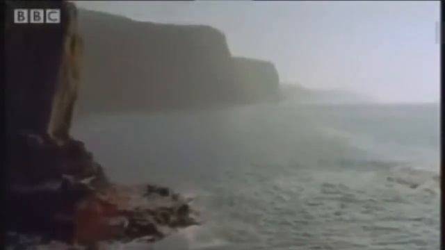 The Northern Lands(Fjord & Icelandic Pony) -The Islander(Nightwish) смотреть онлайн