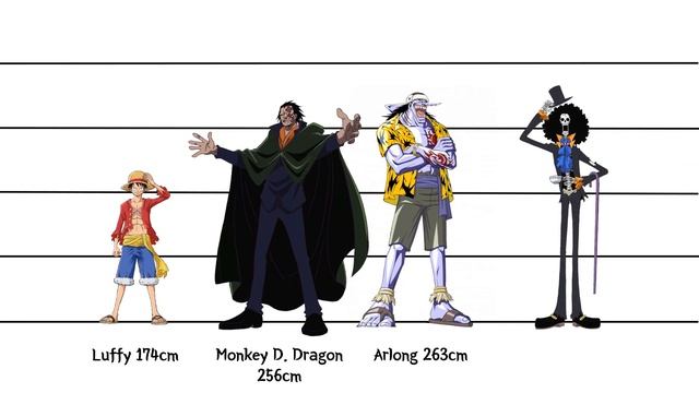 One Piece | Characters Size Comparison Part 1 - Official Information Only
