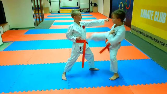 Тренировка ударов ногами/Kicks training martial arts/KARATE CLUB "SKIF" смотреть онлайн