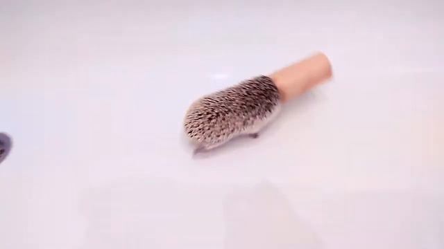 Еж и картонка смотреть онлайн