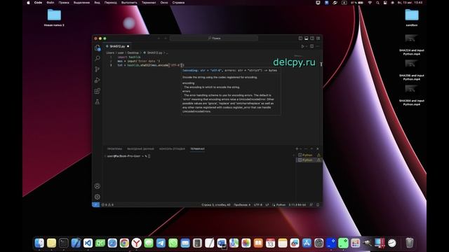 SHA512 and input Python смотреть онлайн