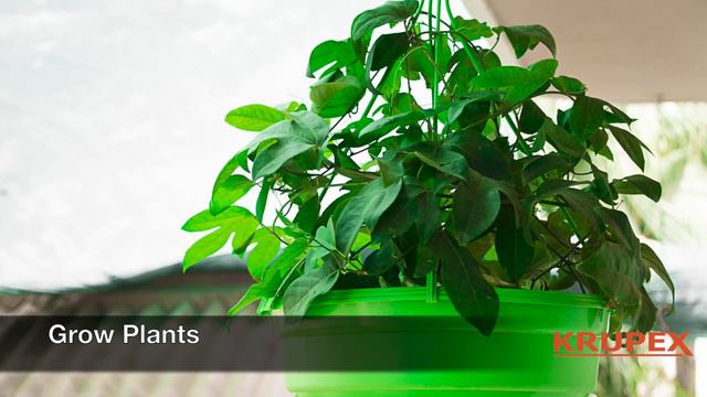 KRUPEX INDIA смотреть онлайн