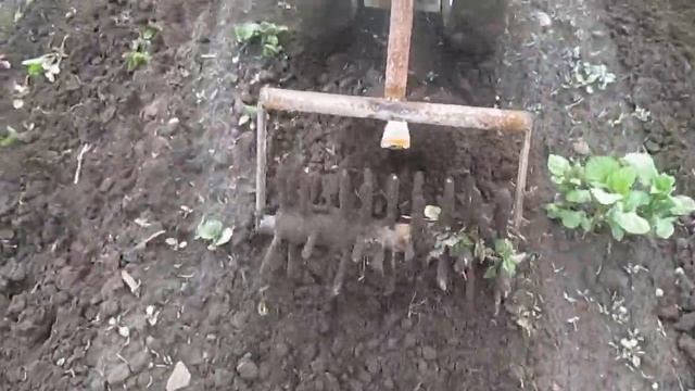 прополка картофеля смотреть онлайн