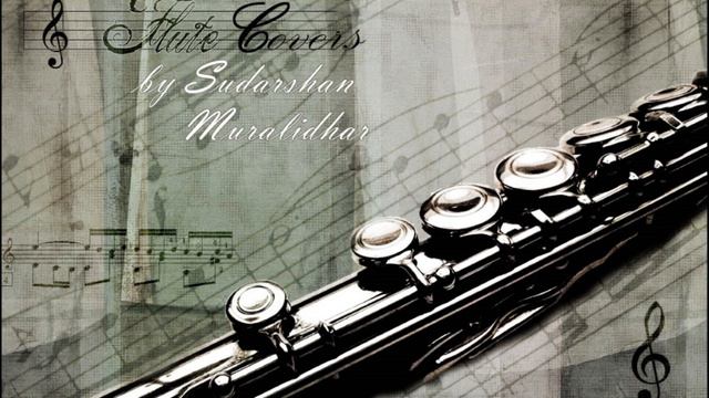 Jar of Hearts Flute Cover смотреть онлайн