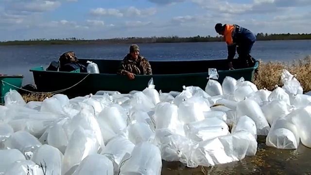 Зарыбление озер пелядью. смотреть онлайн