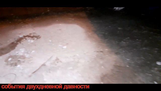 Щенок амстафф боится дождя. Нужен вольер? смотреть онлайн