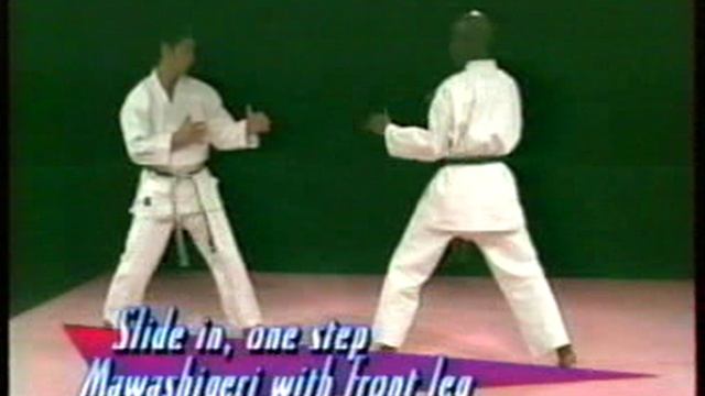 Сито-рю каратэ: техника победных ударов ногами смотреть онлайн