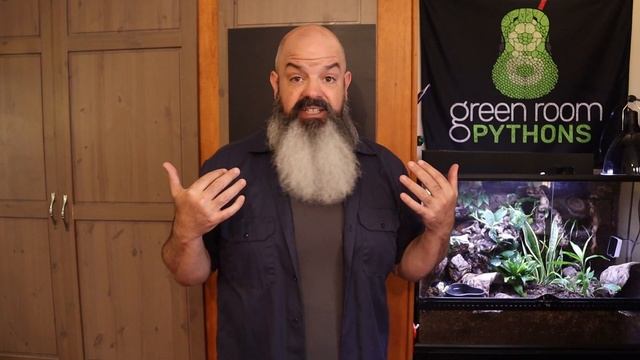 More Snake Behavior: Ball Python Acting Crazy?? смотреть онлайн