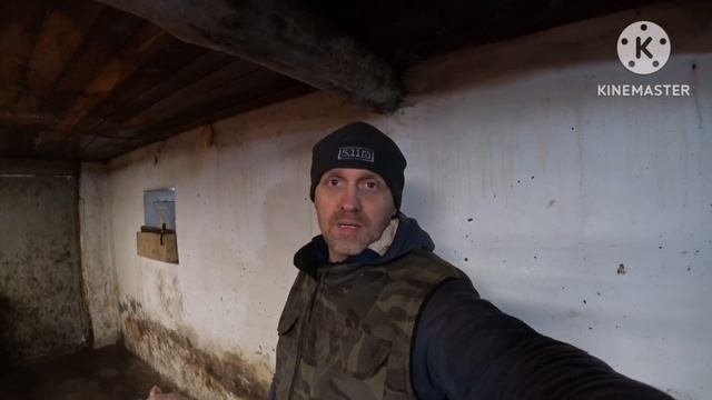 ‼️ВЕС 51,5 кг поросёнка ? в 90 дней ‼️ смотреть онлайн