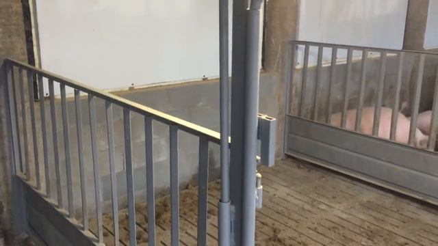 Лінивий міні свинарник смотреть онлайн