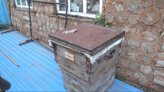 Как я собираю ловушки для хорошей ловли роёв смотреть онлайн