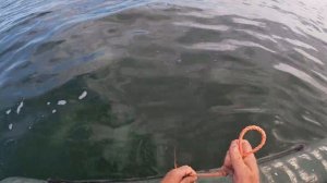 Азовское море  Кучугуры  Рыбалка на бычка