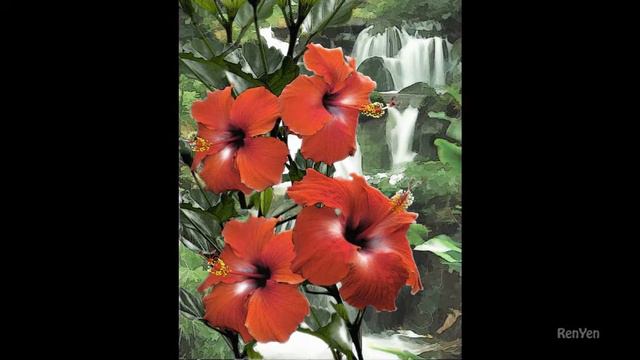Hibiscus Waterfall, computer digital fine art смотреть онлайн