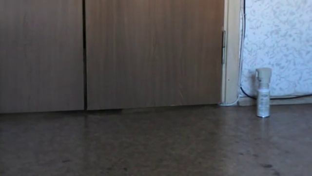 Устройство которое поможет поспать спокойно если у Вас дома есть кошка смотреть онлайн