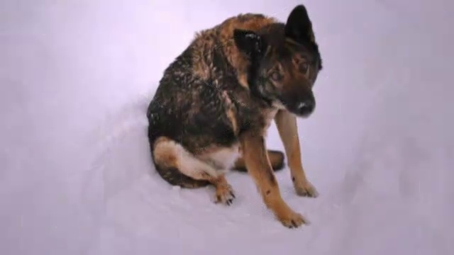 Аметист. Углы драгоценного камня смотреть онлайн