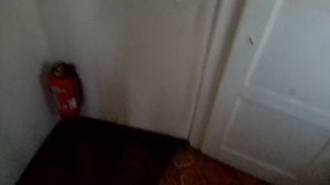 Купить дом в германии  или с чего все начиналось:)