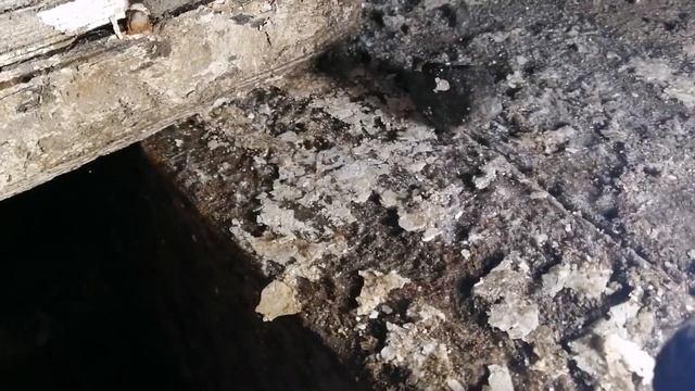 Jcb3cx замена масла в мостах и бортовых смотреть онлайн