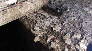 Jcb3cx замена масла в мостах и бортовых