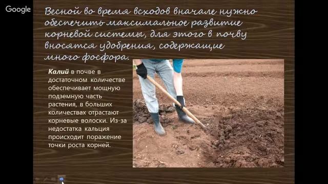 УДОБРЕНИЯ. Разберемся раз и навсегда!!! analysis of fertilizers смотреть онлайн
