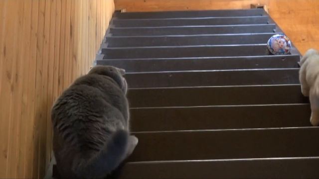 Не были мы ни в какой Таити! Нас и здесь неплохо кормят. смотреть онлайн