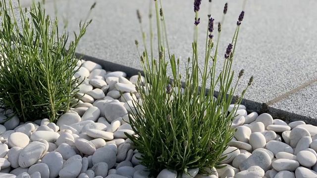 How To Design A Modern Garden смотреть онлайн