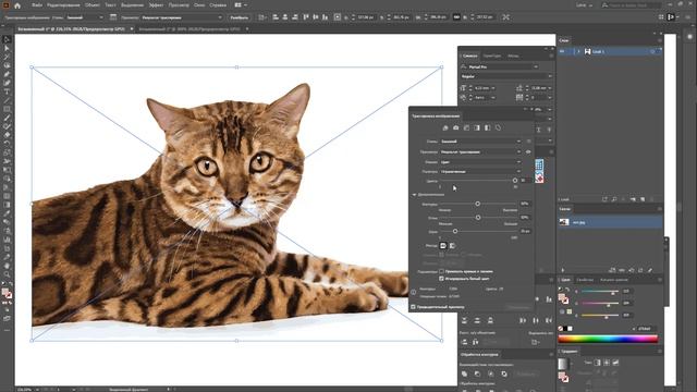 Трассировка растровых изображений в Иллюстраторе. Трейс в Adobe Illustrator смотреть онлайн