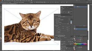 Трассировка растровых изображений в Иллюстраторе. Трейс в Adobe Illustrator