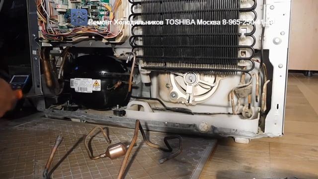 Ремонт Холодильника Тошиба TOSHIBA GR L42FR 8-965-250-41-48 ЗАМЕНА КОМПРЕССОРА Часть 1