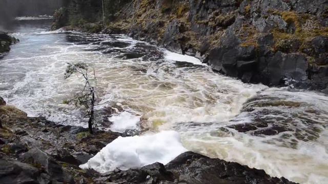DSC 2979 Карелия, водопад Кивач смотреть онлайн