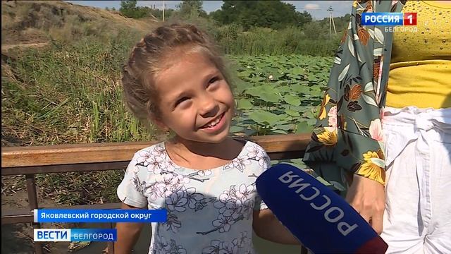Хрупкая красота: лотосы стали визитной карточкой села Быковка смотреть онлайн