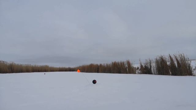 Трофейная рыбалка 🎣 смотреть онлайн