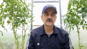 Как правильно установить теплицу. Все секреты по установке теплиц.