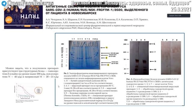 Елена Калле комментирует ответ Минздрава Беларуси смотреть онлайн