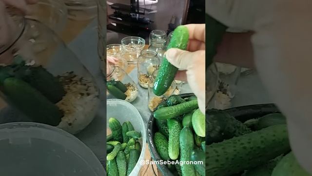 Заготовки зимой: простые рецепты