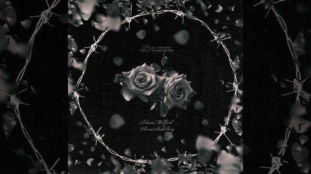 РОЗЫ ТОЖЕ НЕ ПЛАЧУТ (prod. by YC) смотреть онлайн