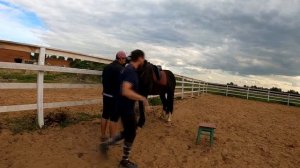 Заездка тяжеловоза за 10 дней. Первое занятие. Разбор ошибок.