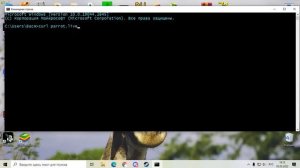 анимированная картинка в cmd