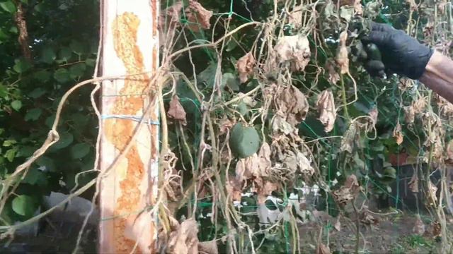 ЧТО Я СЕГОДНЯ СДЕЛАЛ ЗА ДЕНЬ? смотреть онлайн