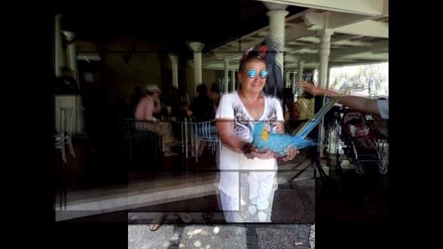 Птичий рай на Бали. Bird paradise on Bali смотреть онлайн