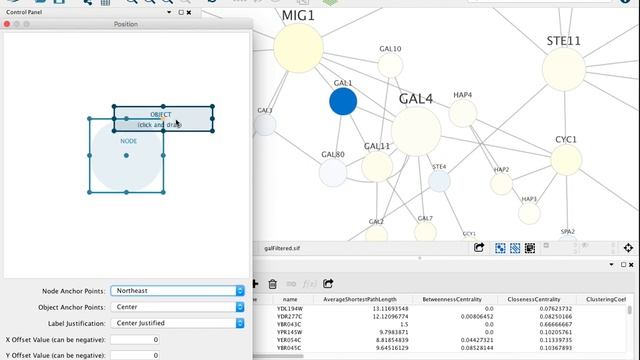 Customizing Node Labels In Cytoscape
