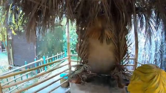 Такого мы не ожидали увидеть! Сочи. Дендрарий смотреть онлайн