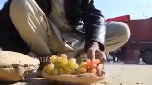 В Афганистане виноград хранят в течение 6-8 месяцев в специальных глиняных горшочках. смотреть онлайн